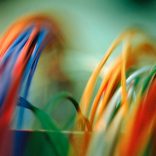 Coloured electrical cables, (Close-up)