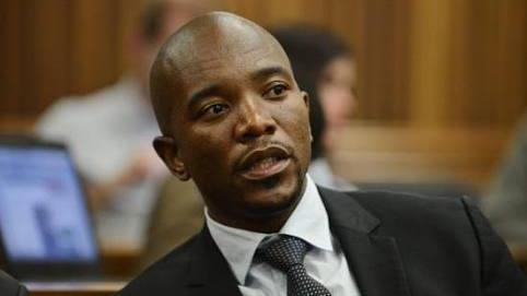 maimane.iol