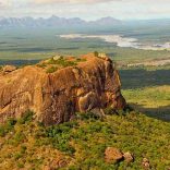 niassa-reserve
