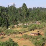 A village in Nandi County where Kenyans say they settled after being displaced from their land by British colonialists to make way for tea estates. Kenya, January 18, 2017. Thomson Reuters Foundation/Daniel Wesangula
