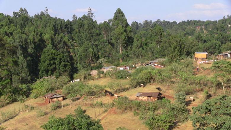 A village in Nandi County where Kenyans say they settled after being displaced from their land by British colonialists to make way for tea estates. Kenya, January 18, 2017. Thomson Reuters Foundation/Daniel Wesangula