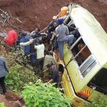 tz.bus.dn