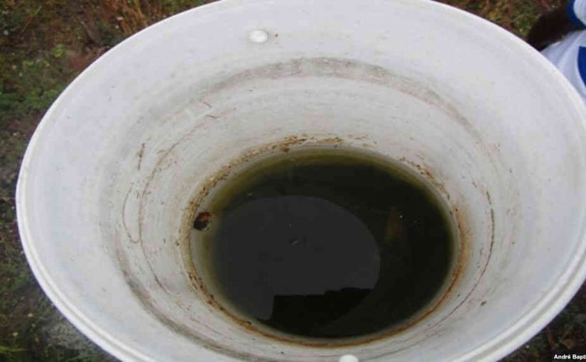 watercassoca