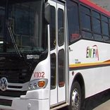 Mhoje_busesnew_photo_jpg