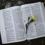 A flower is left on the page of an open Bible outside the Medi-Clinic Heart Hospital, in Pretoria June 28, 2013. REUTERS/Dylan Martinez