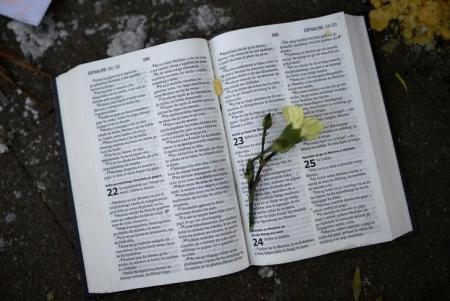A flower is left on the page of an open Bible outside the Medi-Clinic Heart Hospital, in Pretoria June 28, 2013. REUTERS/Dylan Martinez