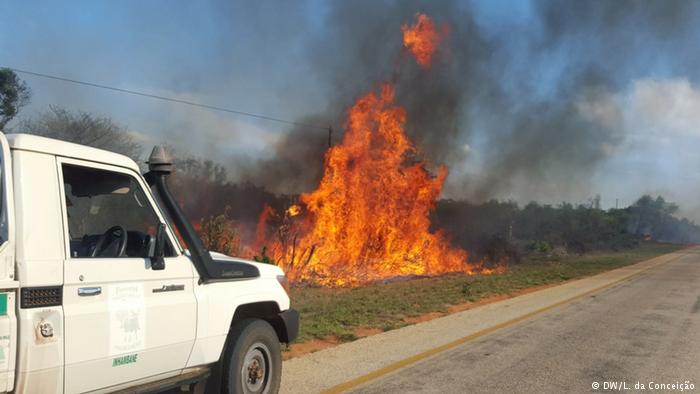fires