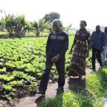 maleiane.agriculture