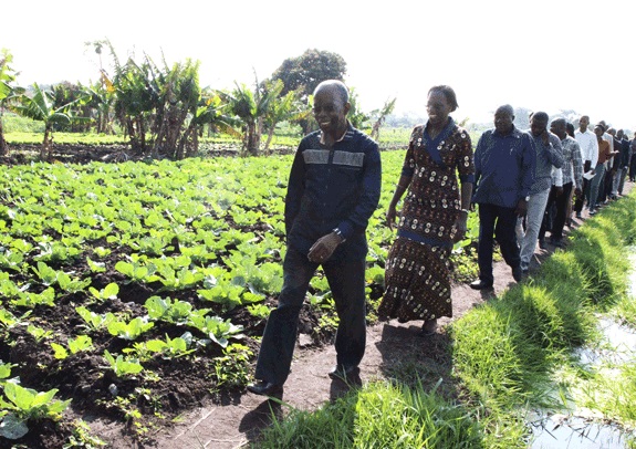 maleiane.agriculture