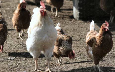 tyxemojgzs6d1ypma3fg