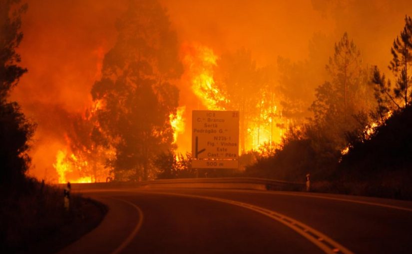 wildfire`
