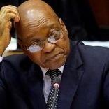 zuma.file
