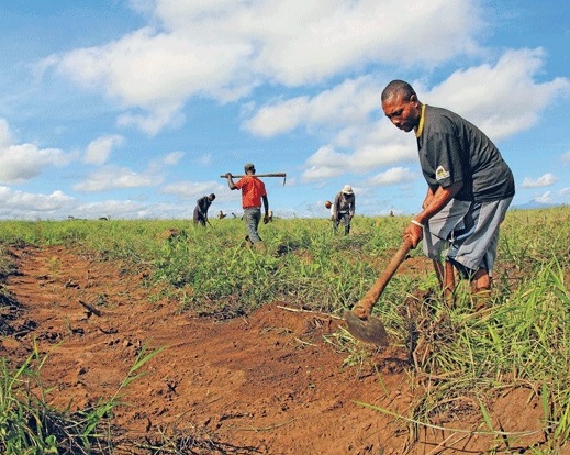Mhoje_agriculture1_photo_jpg