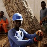 African migrants work at the construction site of a building in Algiers, Algeria June 29, 2017. REUTERS/Ramzi Boudina