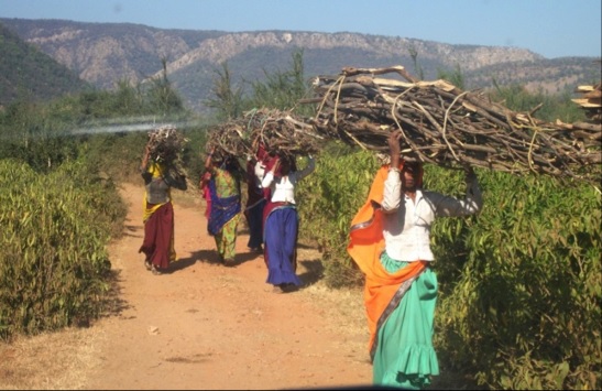 india.land