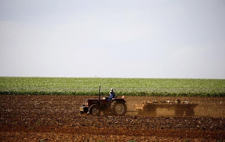 Farmers work on a land outside Lichtenburg, a maize-growing area in the North West province, South Africa November 26, 2015. REUTERS/Siphiwe Sibeko