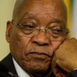 zuma.afn