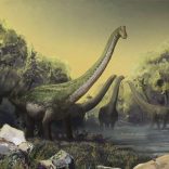 dinosaur2