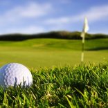 golfflip
