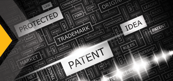 IntellectualProperty