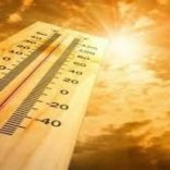Mhoje_heatwave_photo_jpg