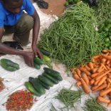 Mhoje_marketmoz1_photo_jpg-825x510