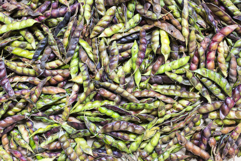 Unsheild-Pigeon-Peas
