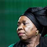 dlaminizuma