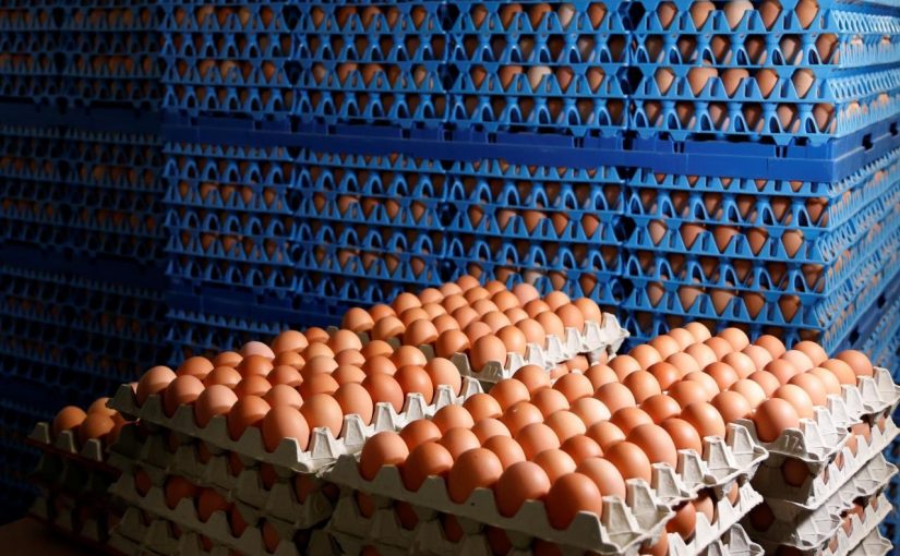 eggs.r1