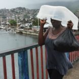 irma.afp