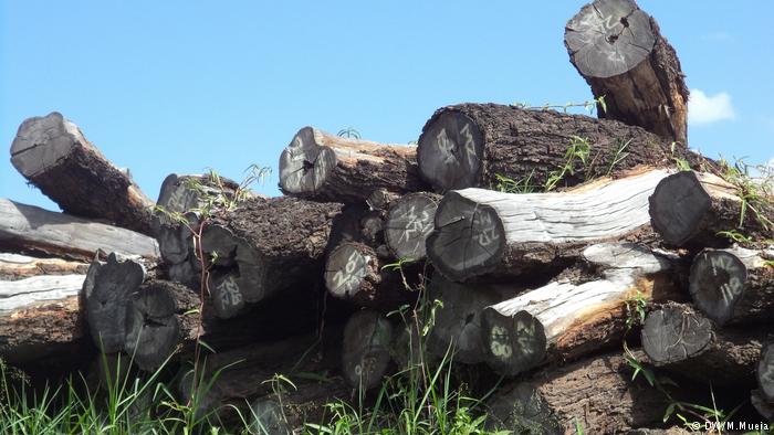 logging.dw