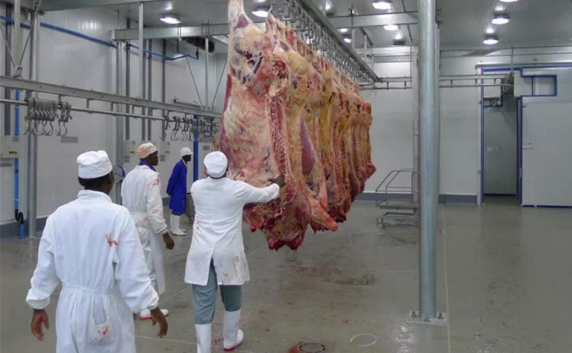meat,moz