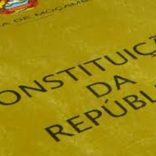 moz.constitution