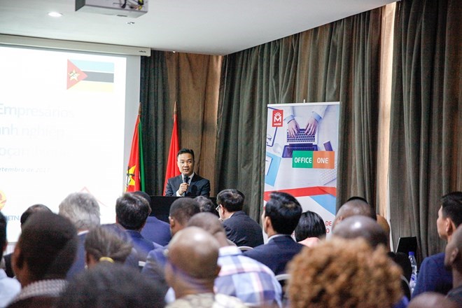 mozambique_firms