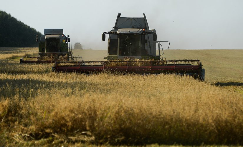 russia.organic.agriculture