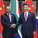 xi.zuma