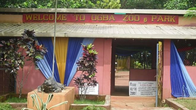 zoo