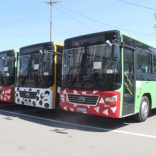 buses.noticias