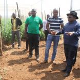 camaign.nyusi.agriculture.not.crop1