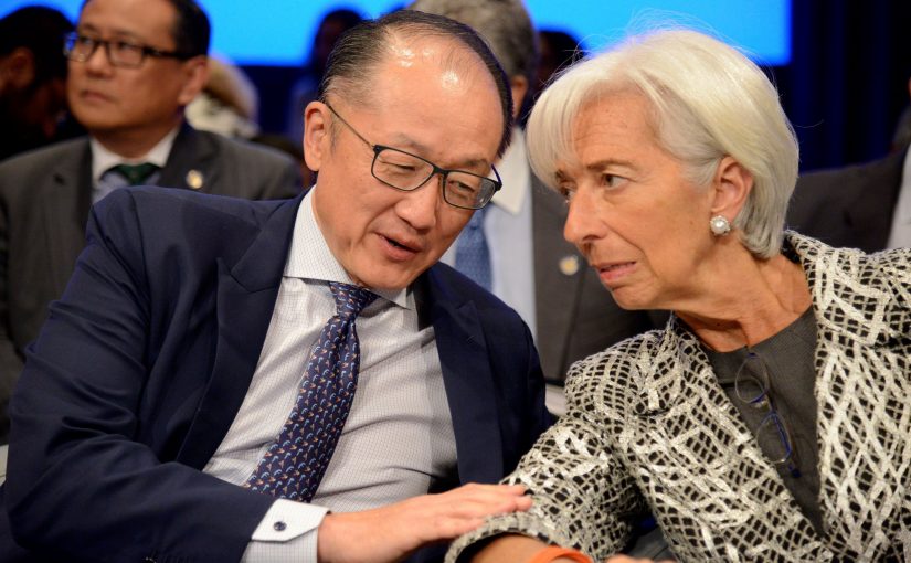 imf.wb