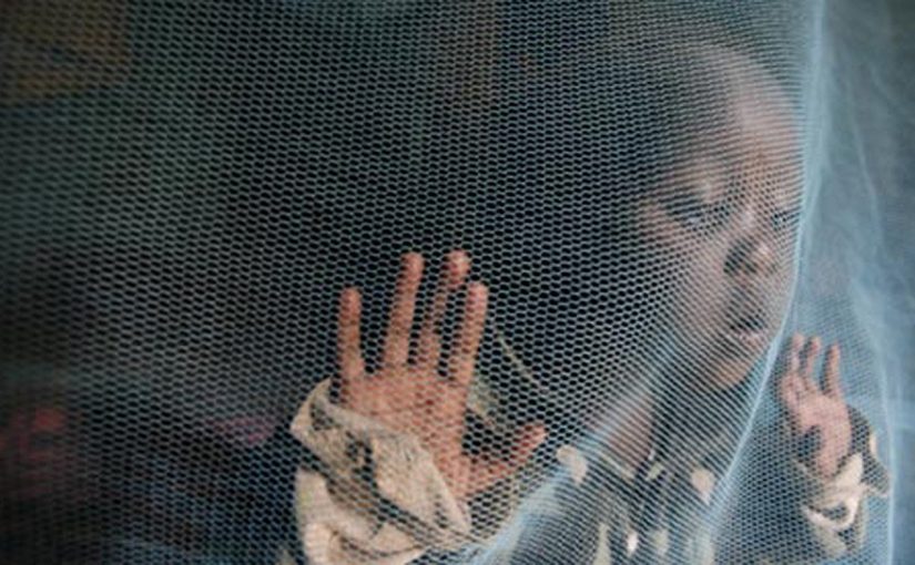 malaria.unicef