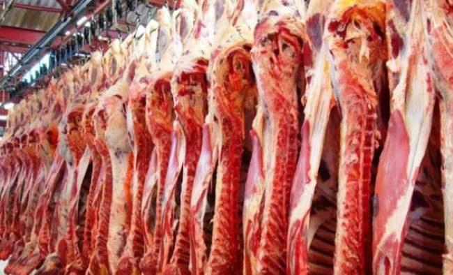 meat,not