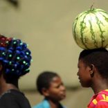 zimbabwe.breadbasket