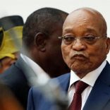 zuma.afn.file