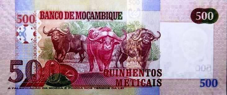 Mhoje_meticalnew5_photo_jpg