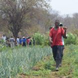 WFP-Mozambique-800x450 (1)