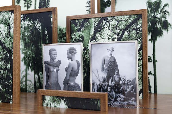 botanica.araujo