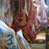 meat.ban.not