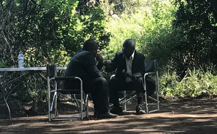 nyusi.dhlakama.twitter