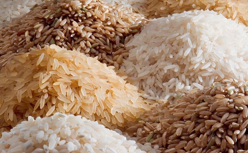 rice.file